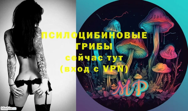 круглые Алексеевка