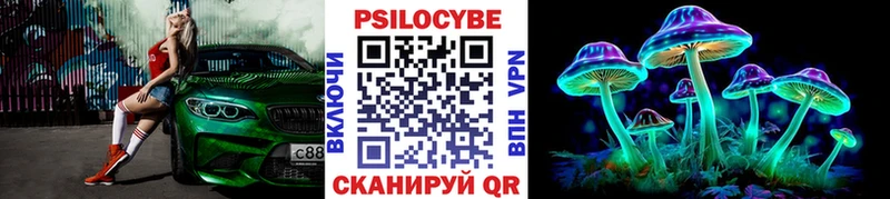 Псилоцибиновые грибы Psilocybe  где можно купить   Томск 