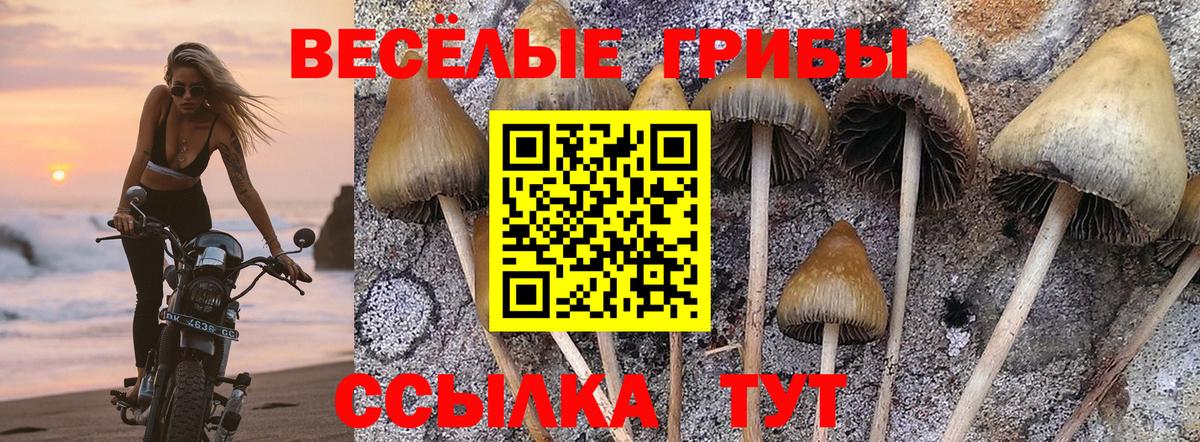 Псилоцибиновые грибы MAGIC MUSHROOMS Томск