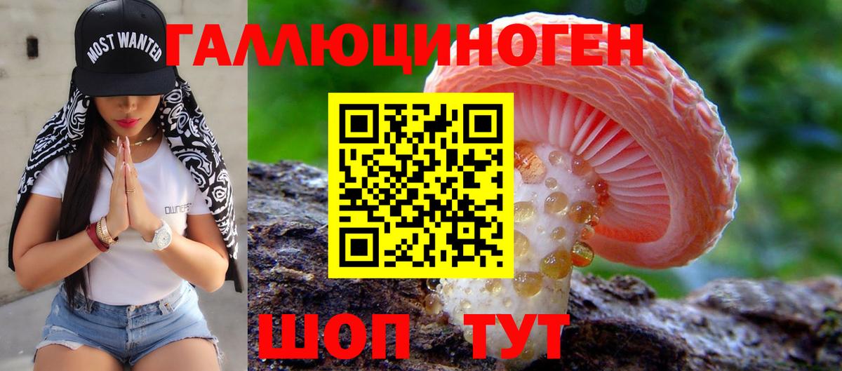 Томск  Псилоцибиновые грибы прущие грибы  Вход с VPN 