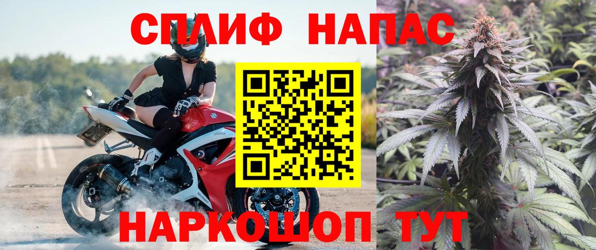 Каннабис MAZAR Томск